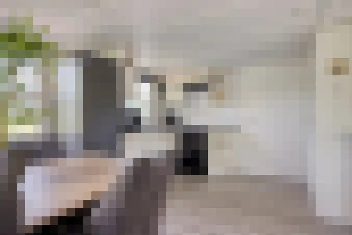 Vier Heultjes 92 Sprang-Capelle thumbnail 16