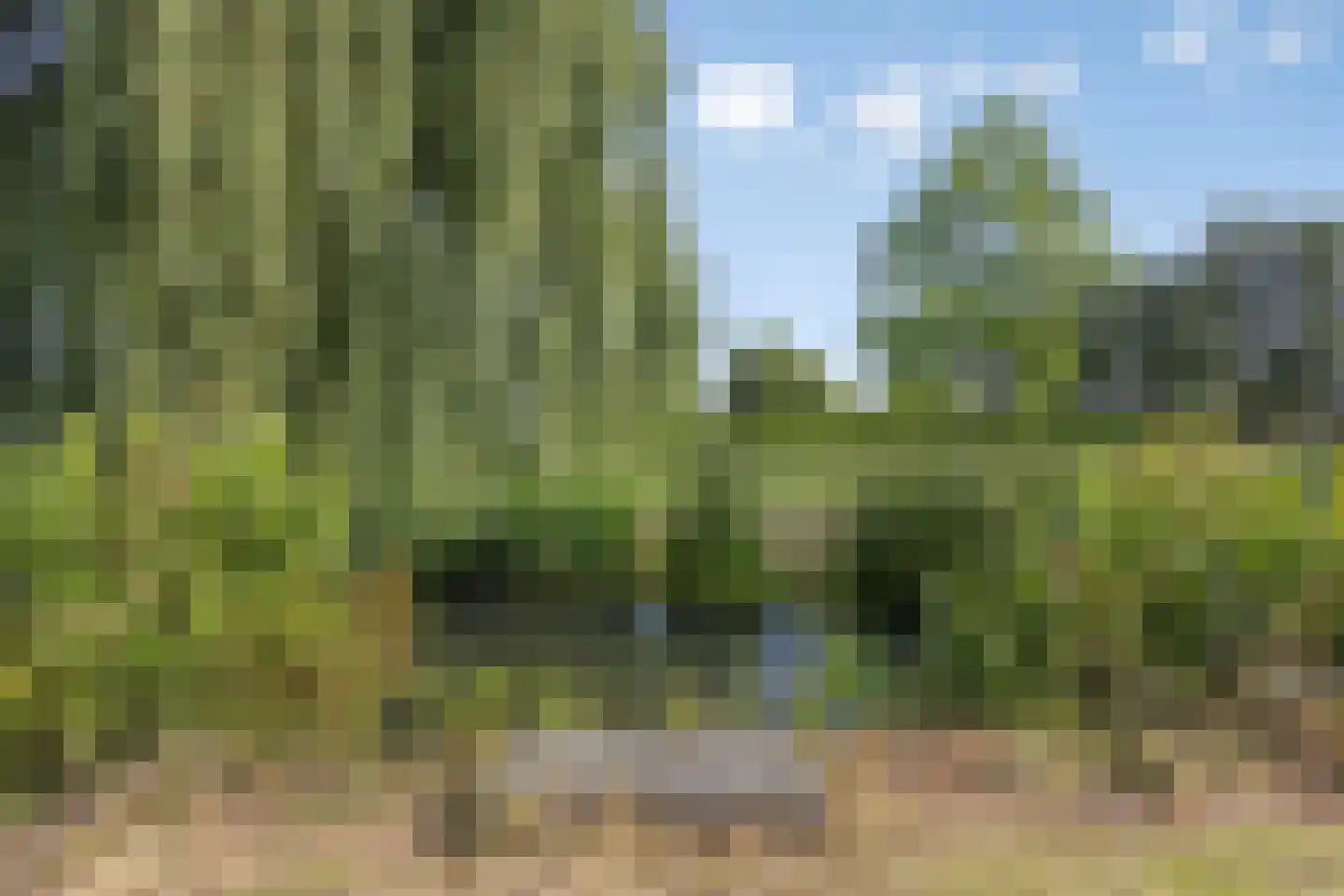 Vier Heultjes 92 Sprang-Capelle thumbnail 34