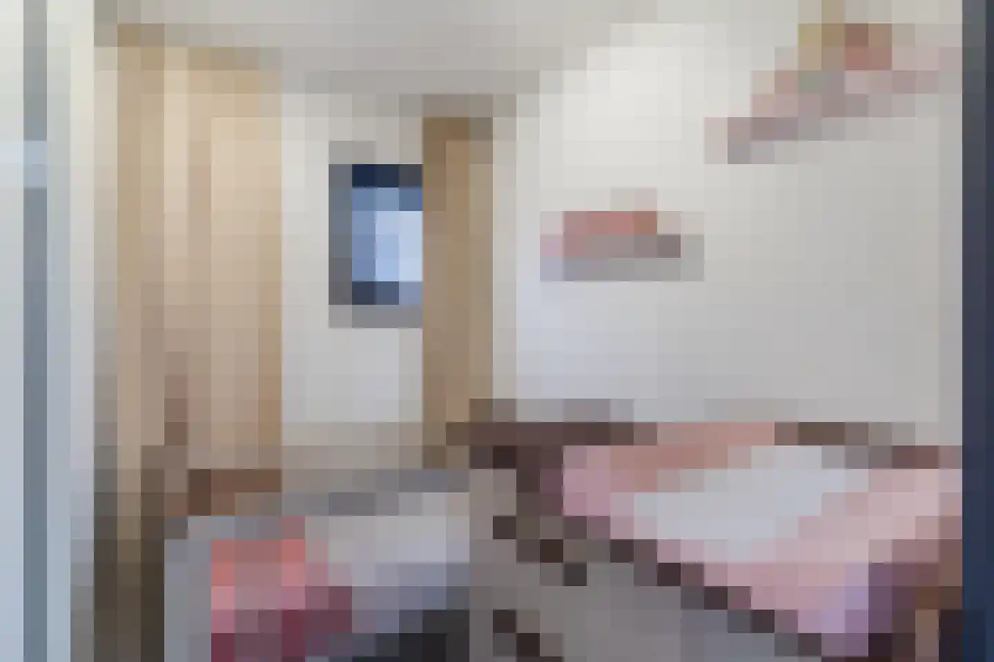 Vier Heultjes 98 Sprang-Capelle thumbnail 16