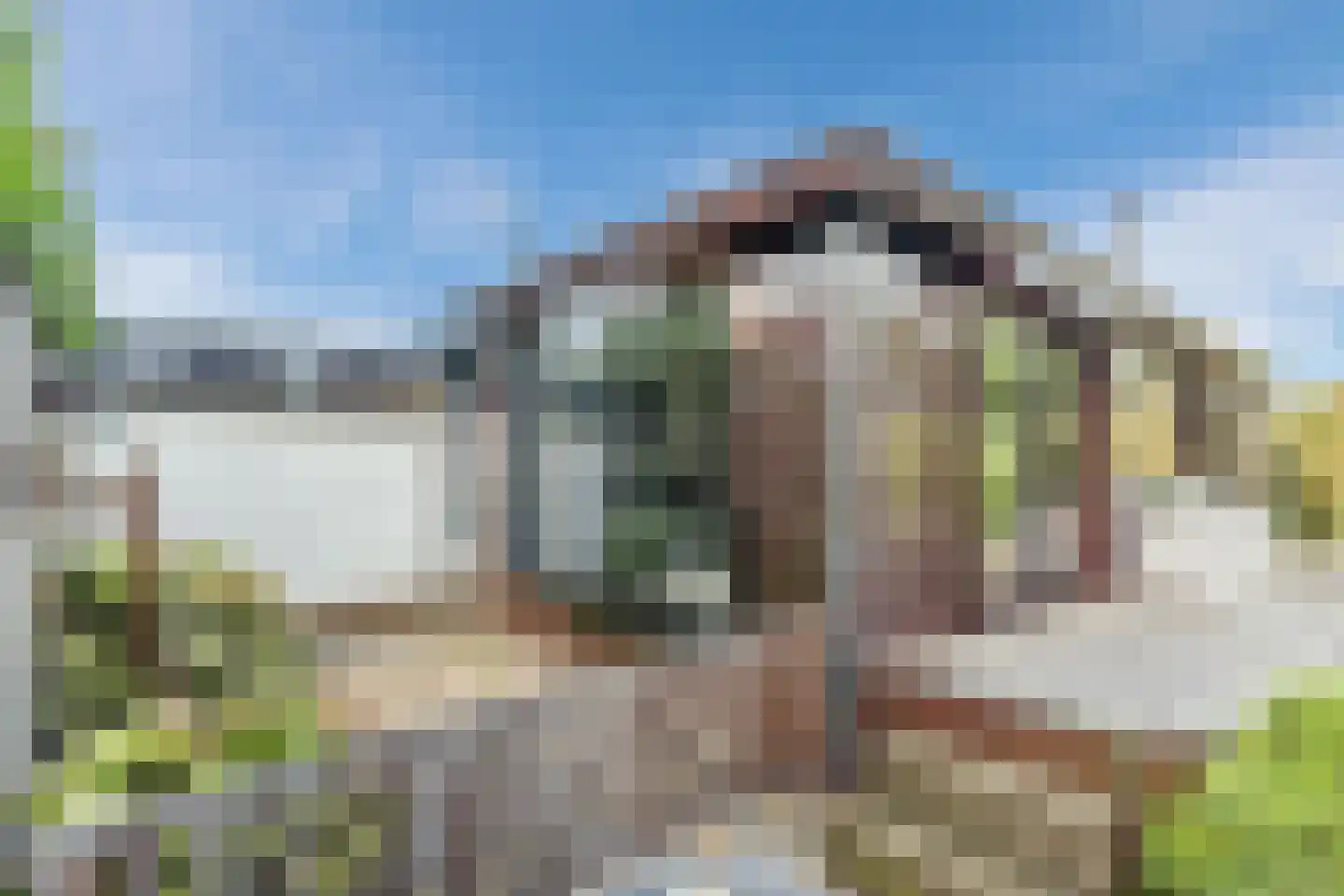 Vier Heultjes 98 Sprang-Capelle thumbnail 23