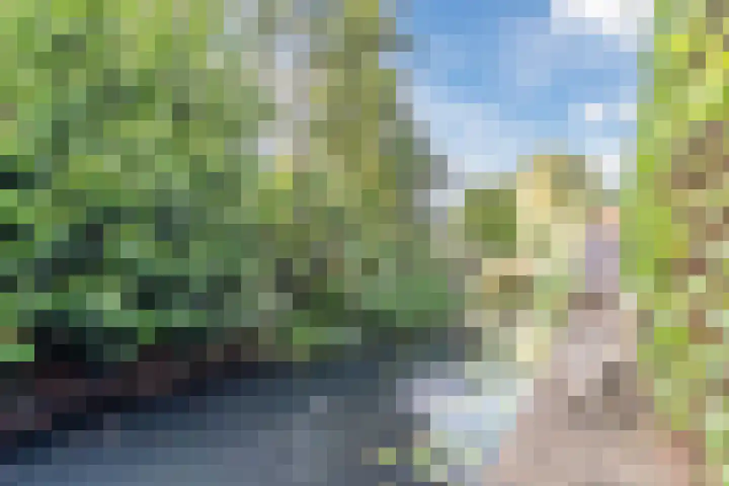 Vier Heultjes 98 Sprang-Capelle thumbnail 35
