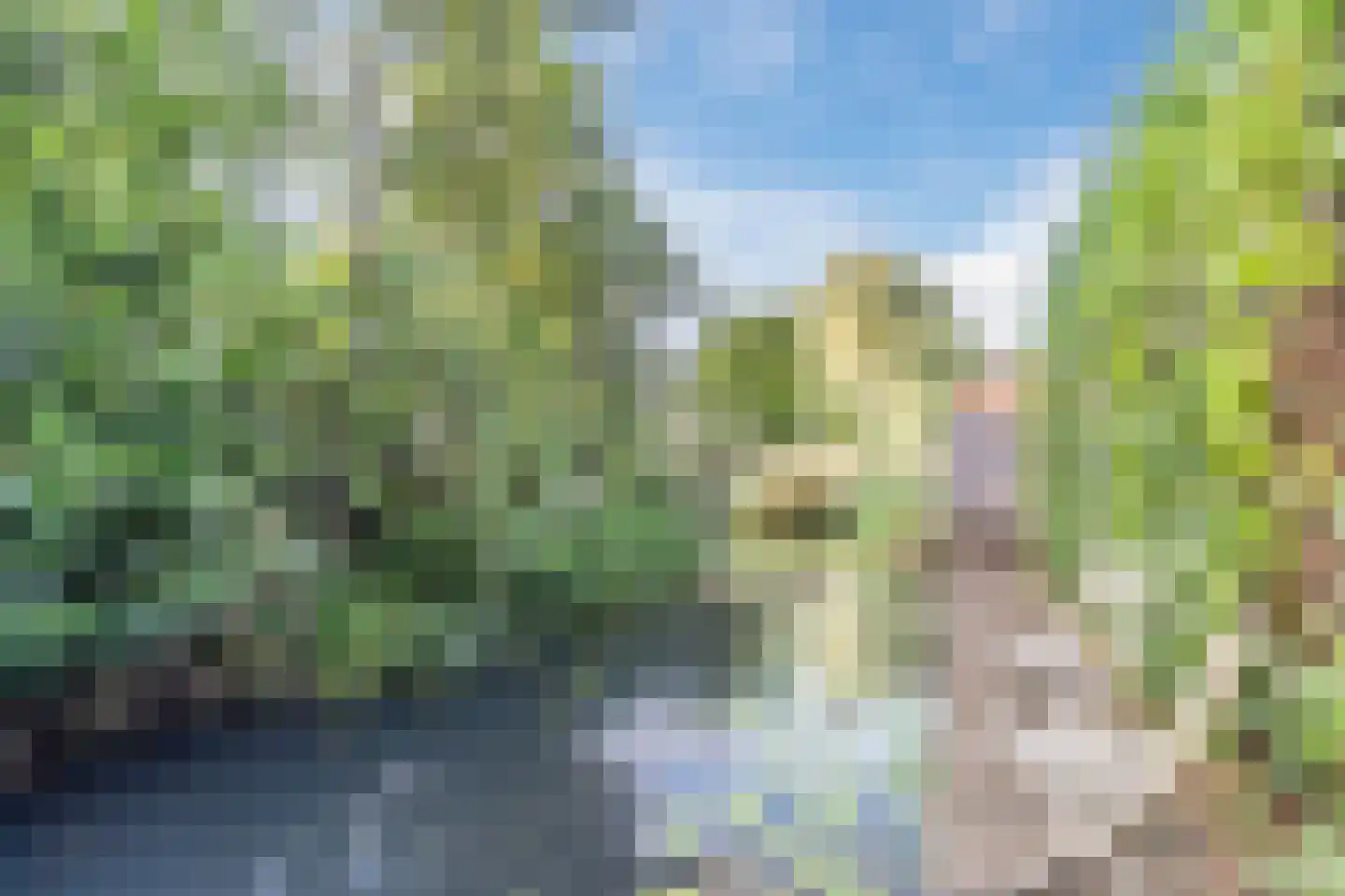 Vier Heultjes 98 Sprang-Capelle thumbnail 36