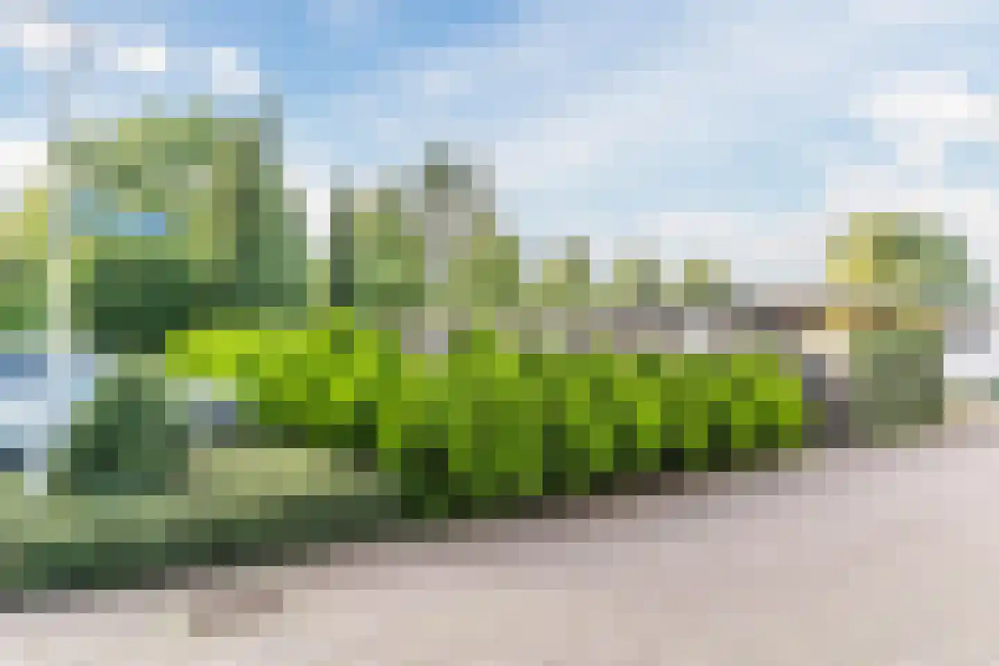Vier Heultjes 98 Sprang-Capelle thumbnail 38