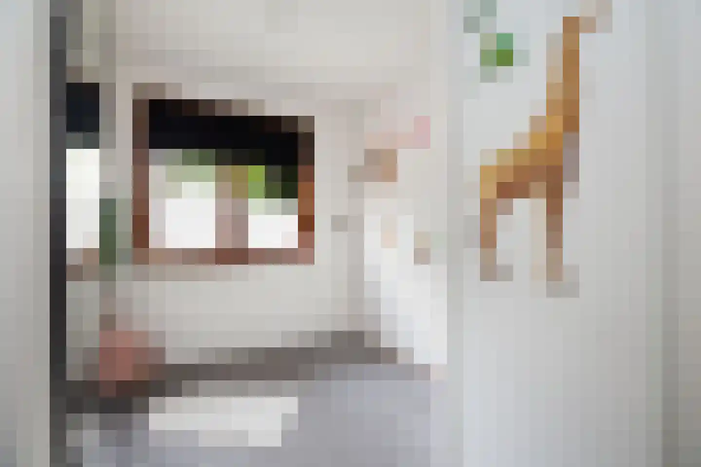 Vier Heultjes 99 Sprang-Capelle thumbnail 17