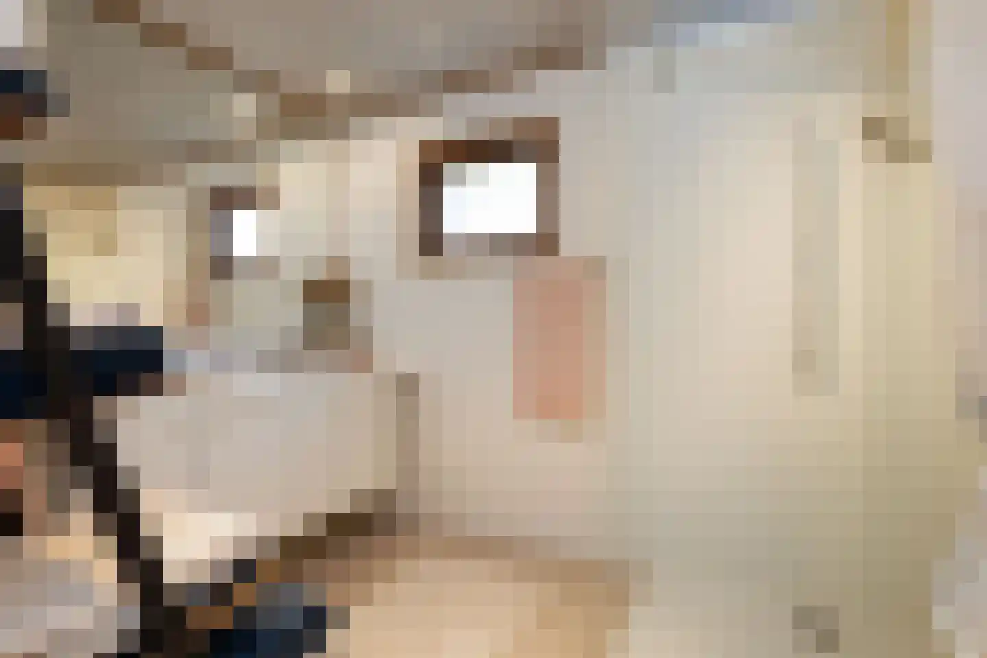 Vier Heultjes 99 Sprang-Capelle thumbnail 18