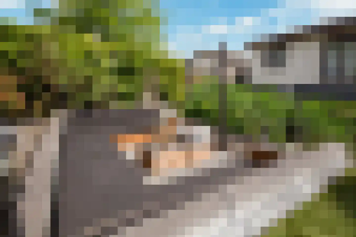 Vier Heultjes 99 Sprang-Capelle thumbnail 27