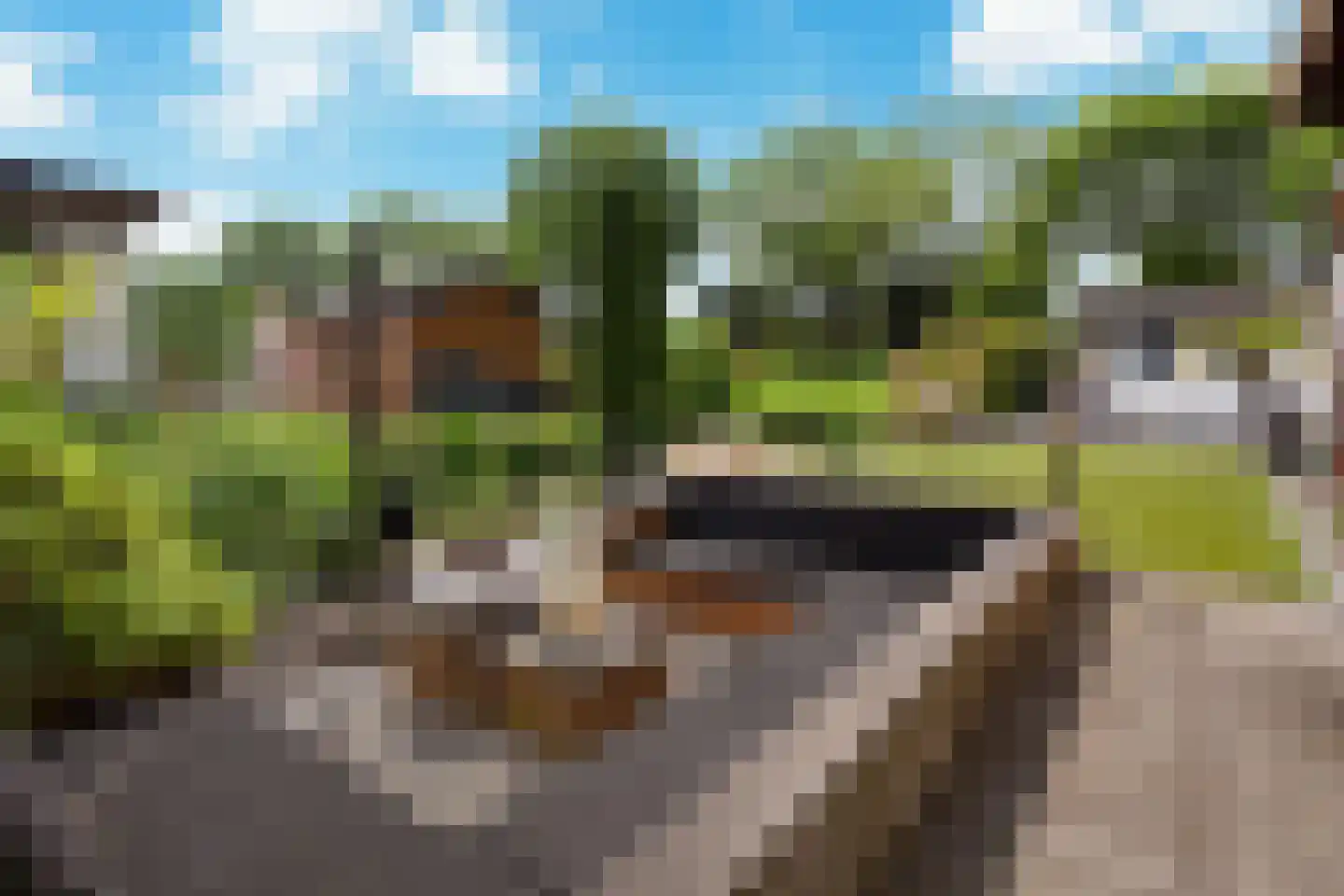 Vier Heultjes 99 Sprang-Capelle thumbnail 28