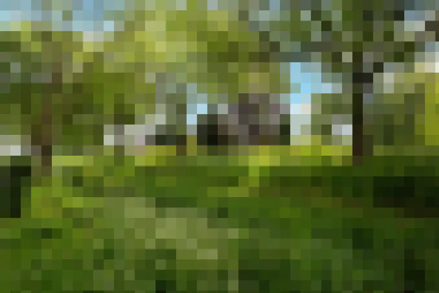 Vier Heultjes 99 Sprang-Capelle thumbnail 29