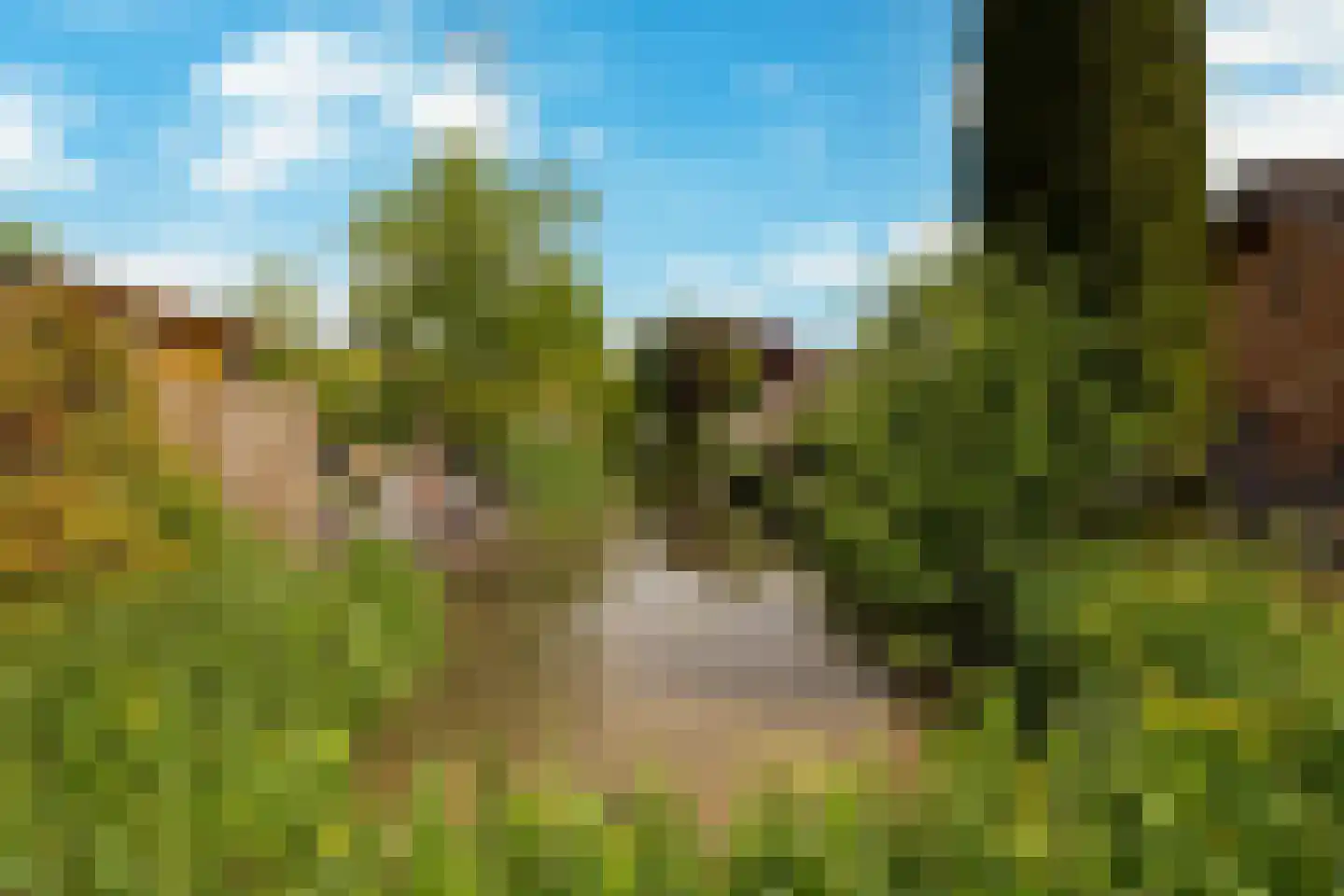Vier Heultjes 99 Sprang-Capelle thumbnail 30