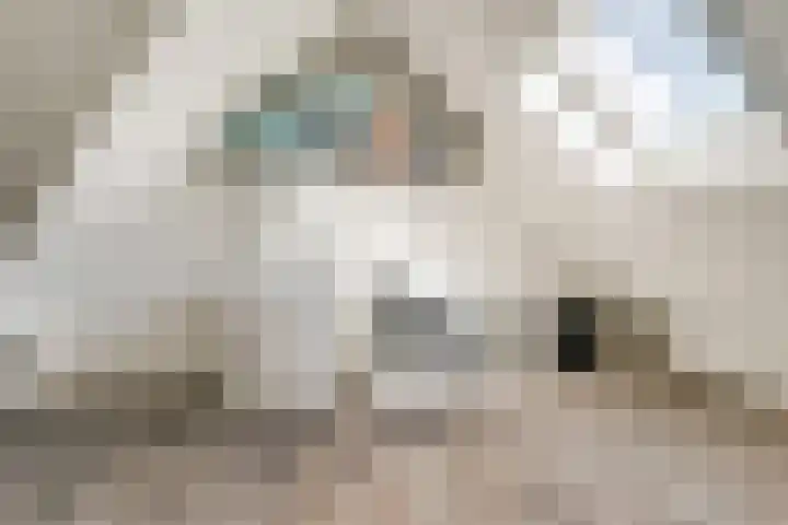 Vier Wieken 12 c Valburg thumbnail 29