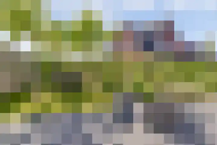 Vier Wieken 12 c Valburg foto 3