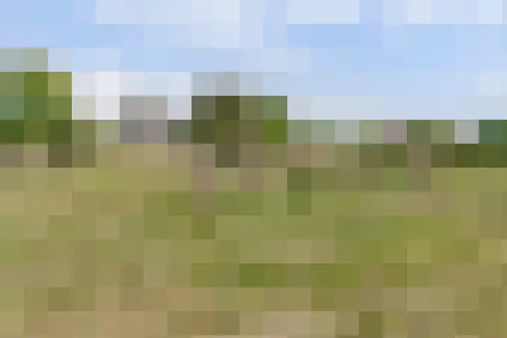 Vier Wieken 12 c Valburg thumbnail 35