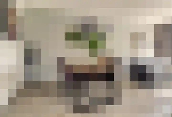 Vier Wieken 12 c Valburg thumbnail 7