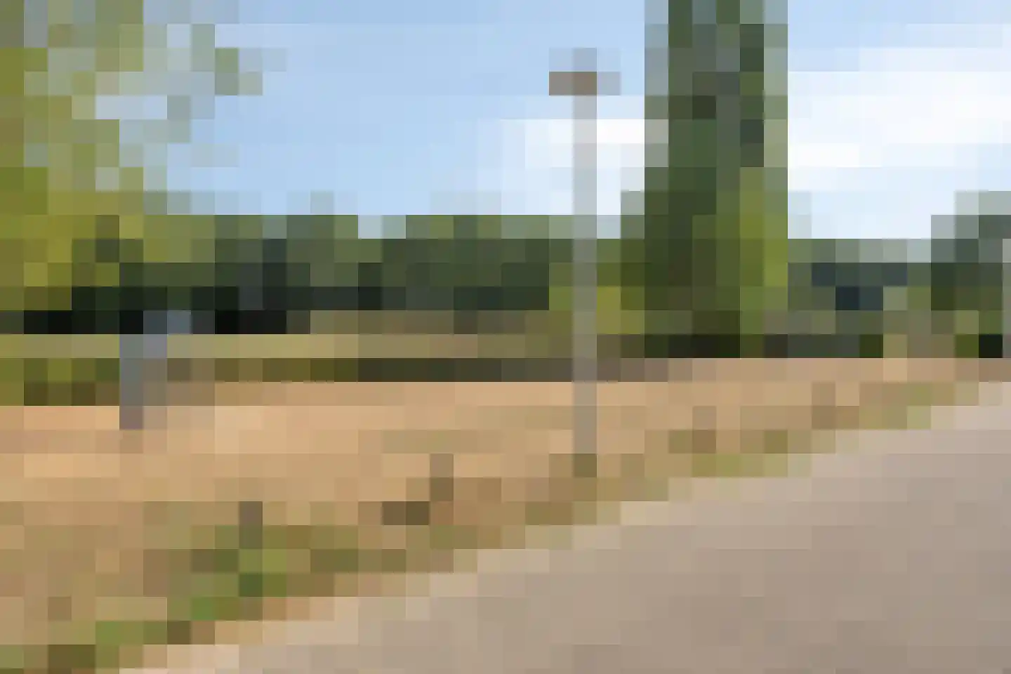 Vieracker 25 B Malden thumbnail 30