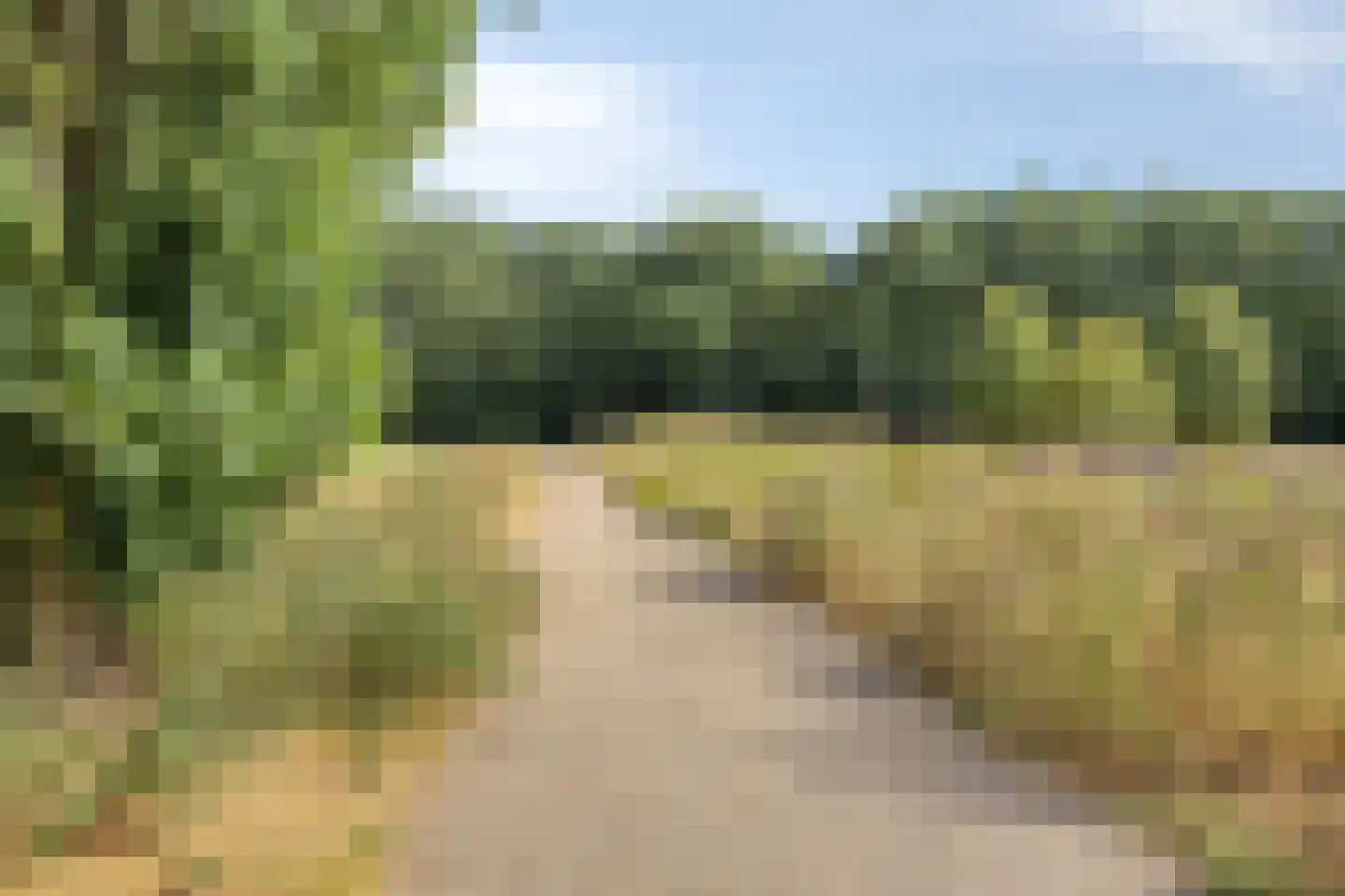 Vieracker 25 B Malden thumbnail 31