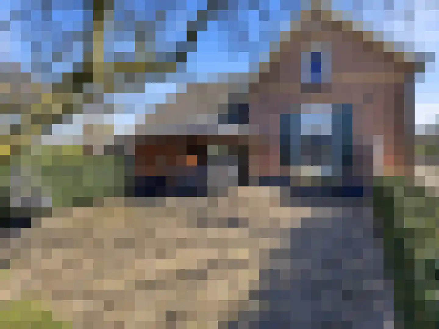 Vierakkersestraatweg 1 Zutphen thumbnail 32