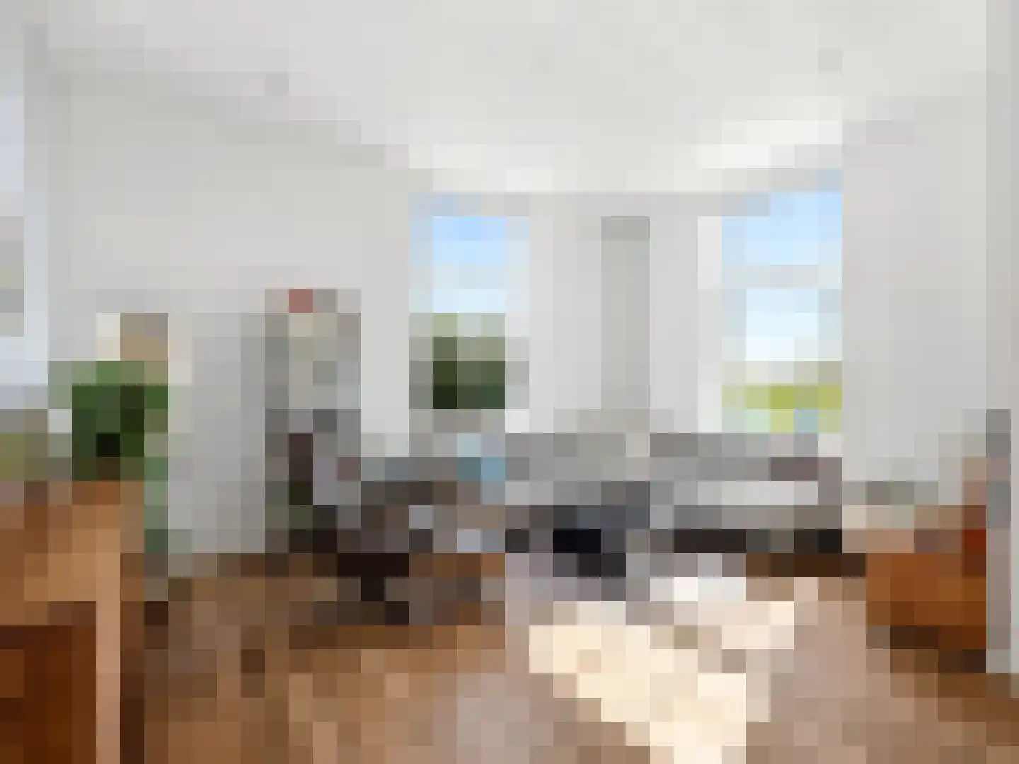 Vierakkersestraatweg 1 Zutphen thumbnail 8