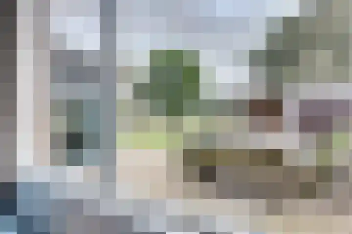Vierakkersestraatweg 3 Zutphen thumbnail 24