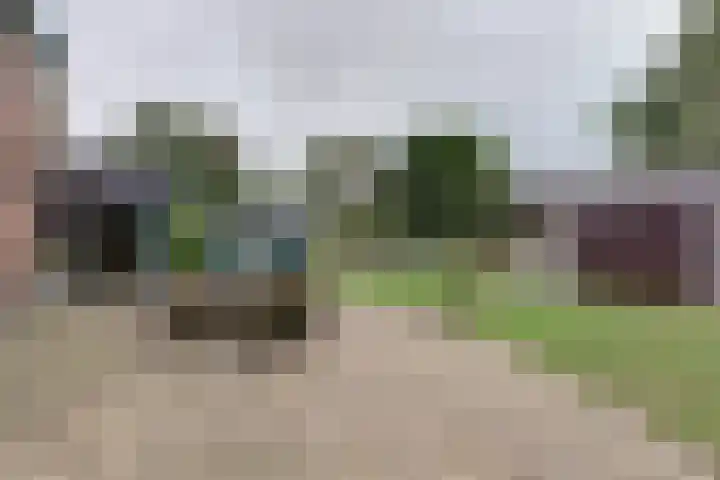 Vierakkersestraatweg 3 Zutphen thumbnail 26