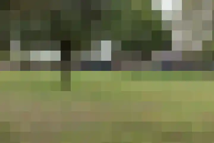 Vierakkersestraatweg 3 Zutphen thumbnail 31