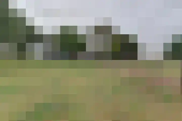 Vierakkersestraatweg 3 Zutphen thumbnail 32