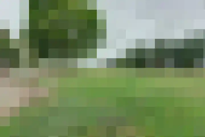 Vierakkersestraatweg 3 Zutphen thumbnail 33