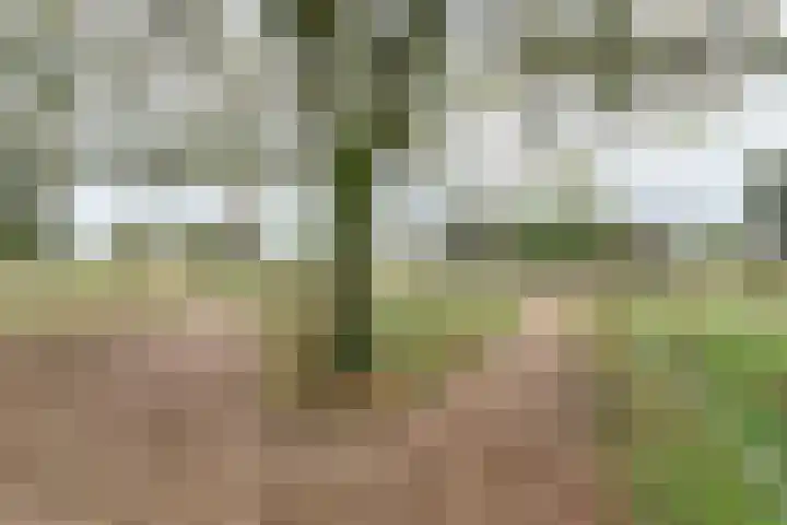 Vierakkersestraatweg 3 Zutphen thumbnail 35
