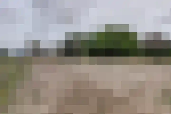 Vierakkersestraatweg 3 Zutphen thumbnail 37