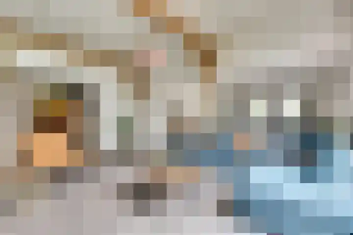 Vierakkersestraatweg 3 Zutphen thumbnail 6