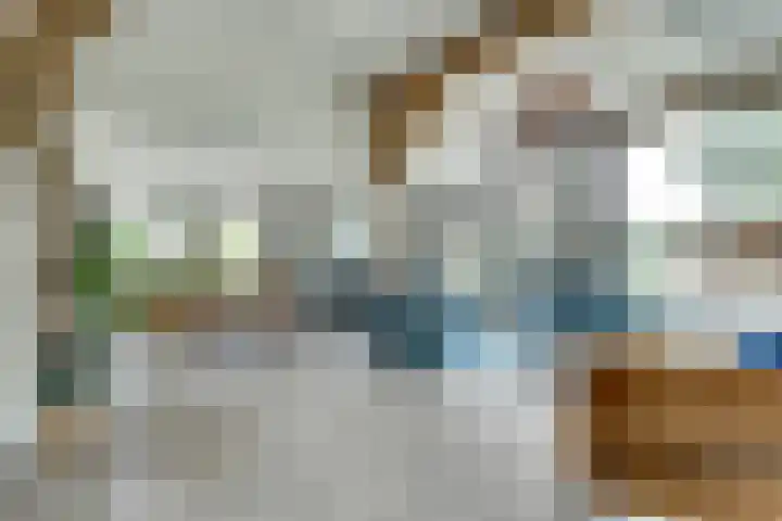 Vierakkersestraatweg 3 Zutphen thumbnail 9