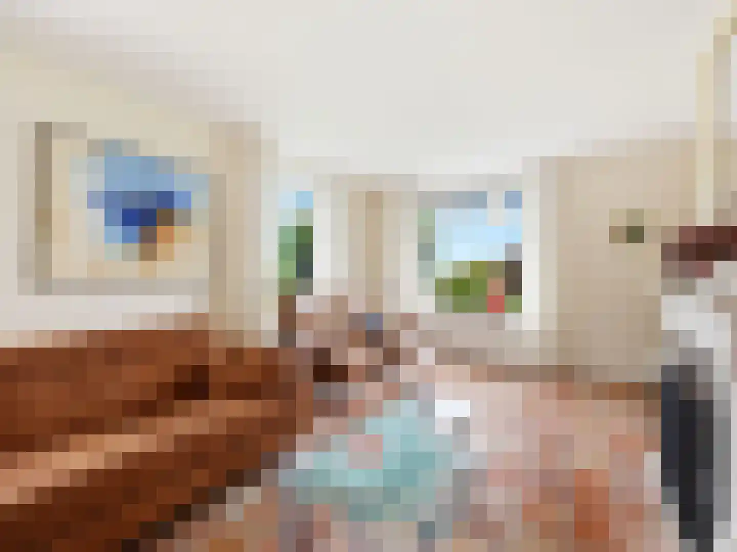 Vierakkersestraatweg 6 Zutphen thumbnail 9