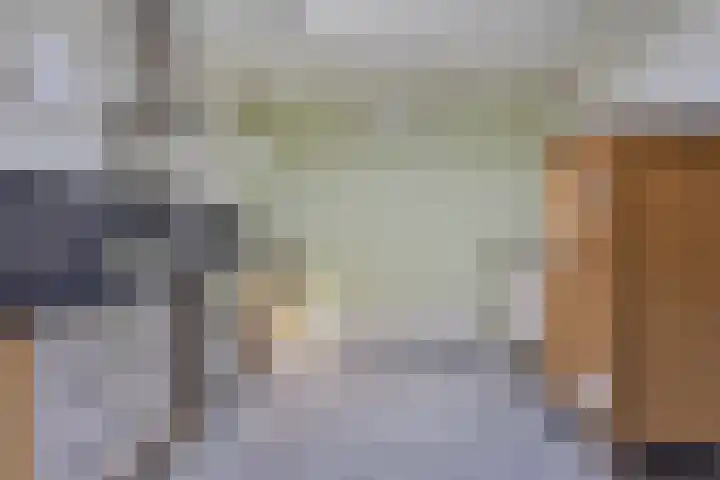 Vierakkerstraat 18 Huissen thumbnail 17