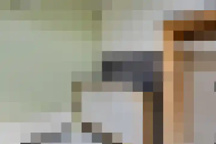 Vierakkerstraat 18 Huissen thumbnail 18