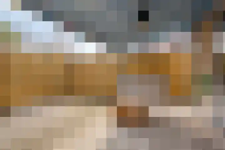 Vierakkerstraat 18 Huissen thumbnail 38