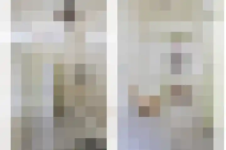 Vierakkerstraat 18 Huissen thumbnail 6