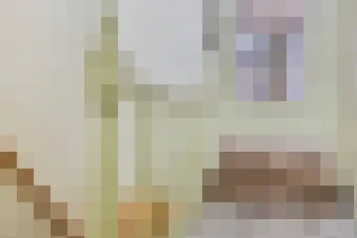 Vierakkerstraat 18 Huissen thumbnail 7