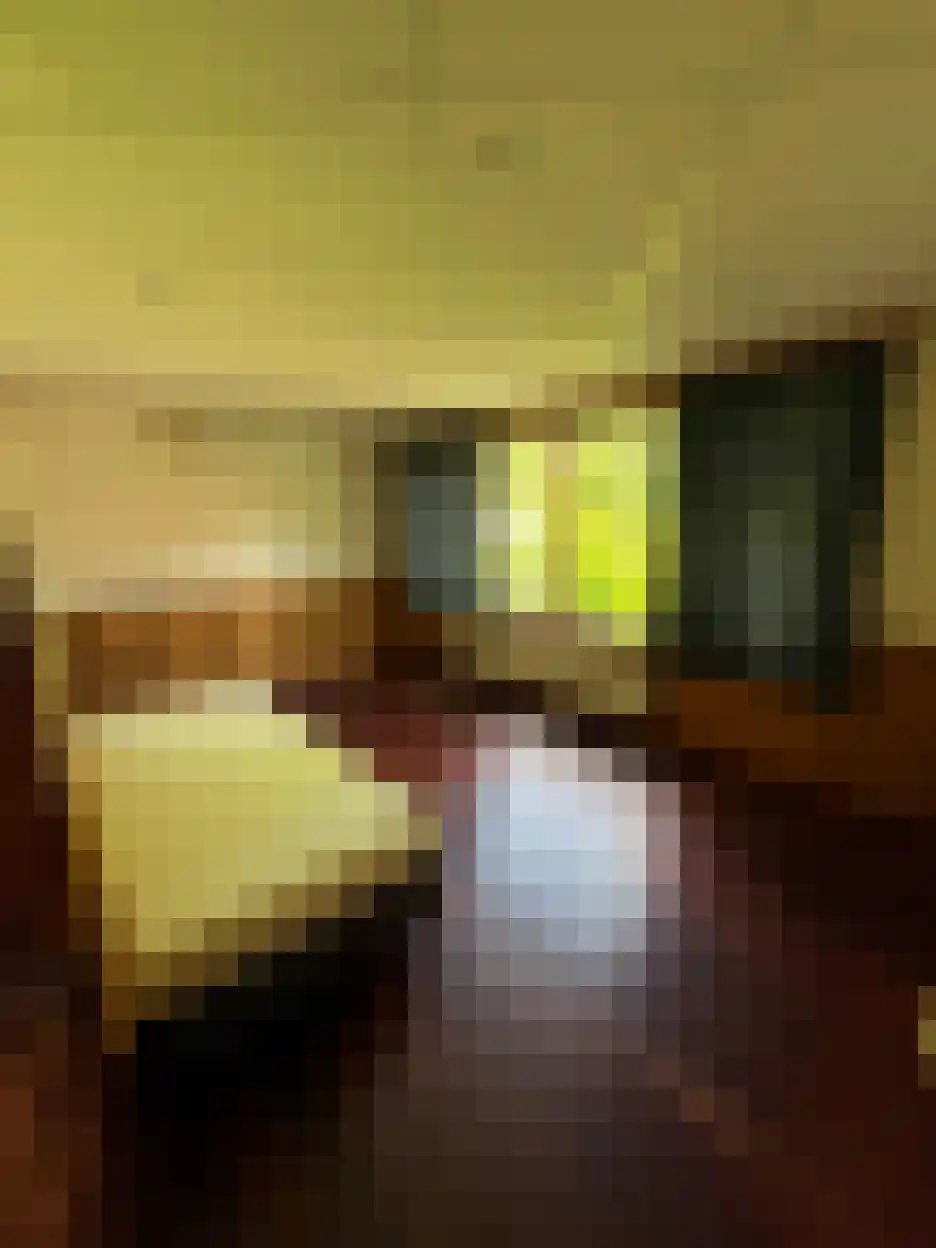 Vierambachtenkade Z.Z. 2 Spijkenisse thumbnail 7
