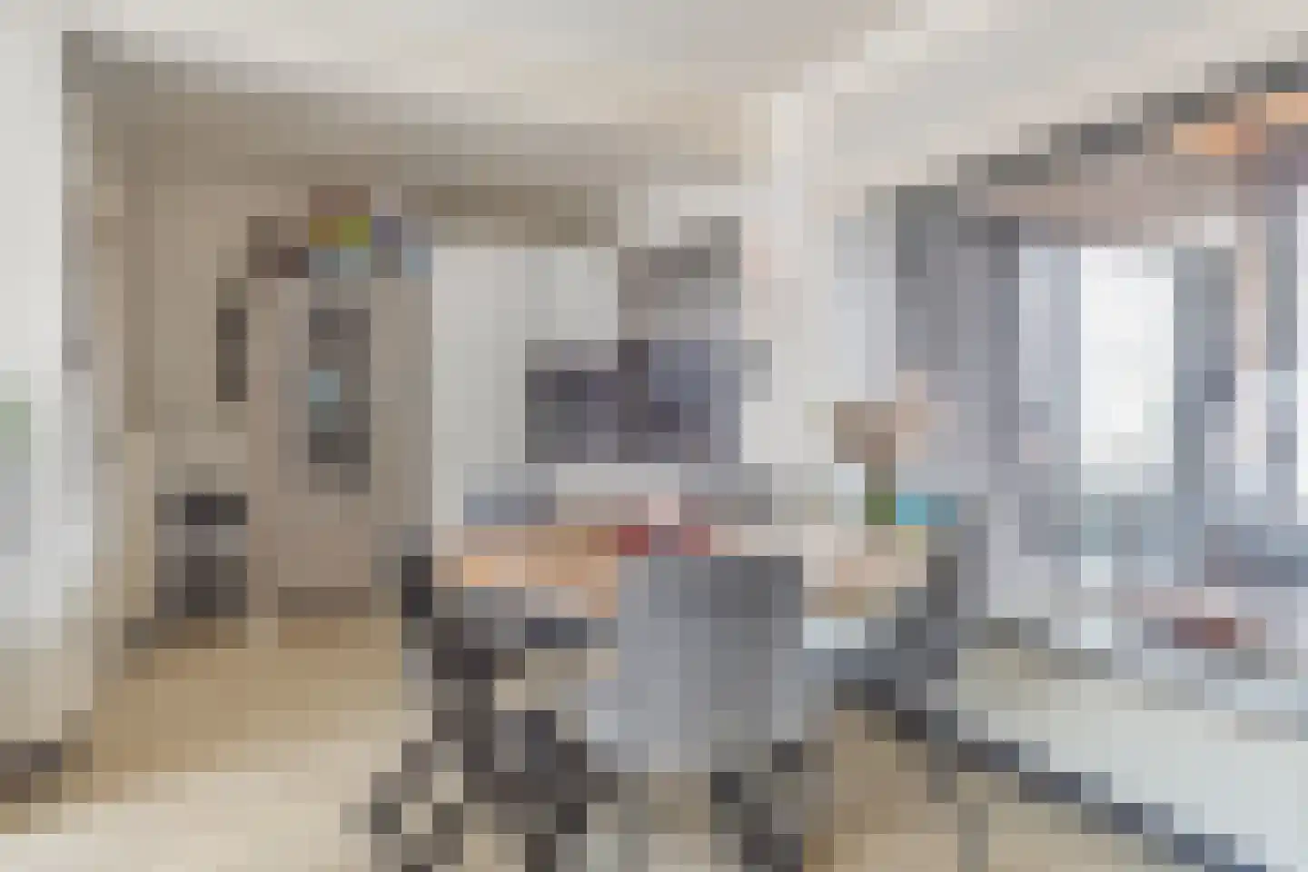 Vierambachtenstraat 32 Hulst thumbnail 11