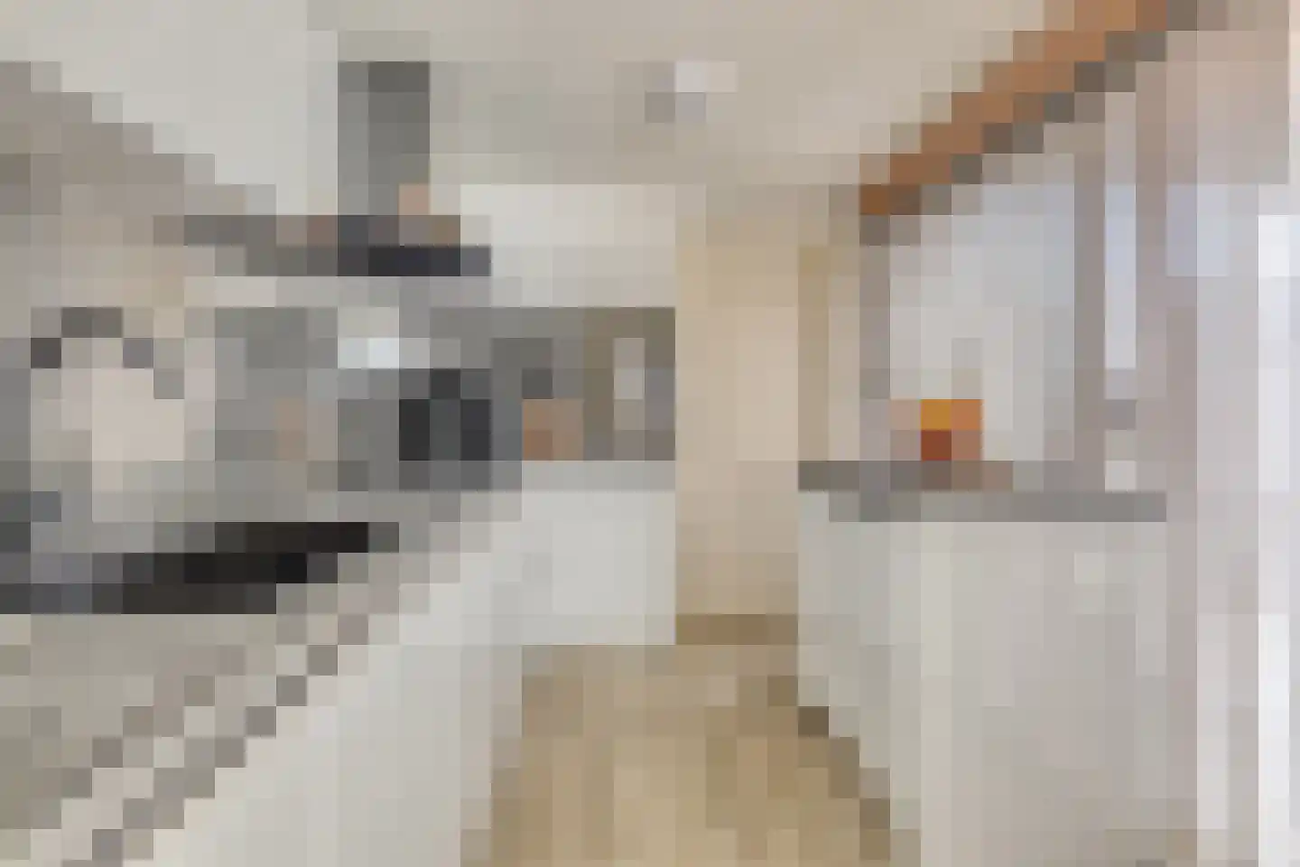 Vierambachtenstraat 32 Hulst thumbnail 13