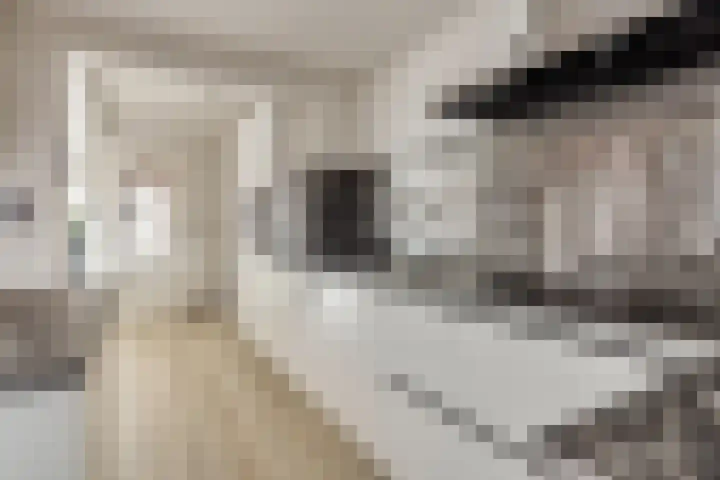 Vierambachtenstraat 32 Hulst thumbnail 14