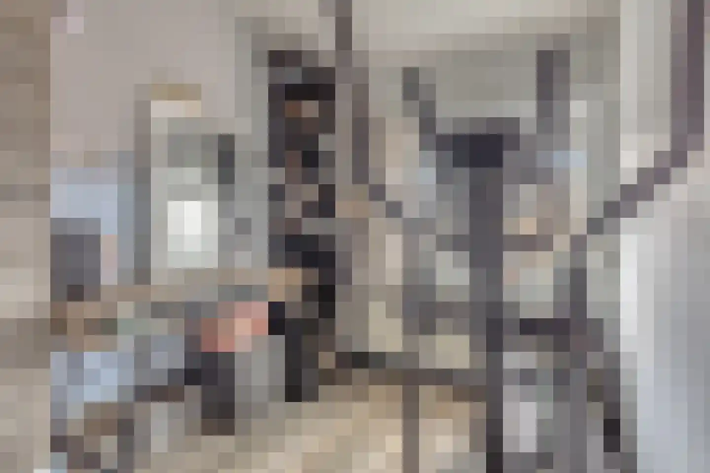Vierambachtenstraat 32 Hulst thumbnail 20