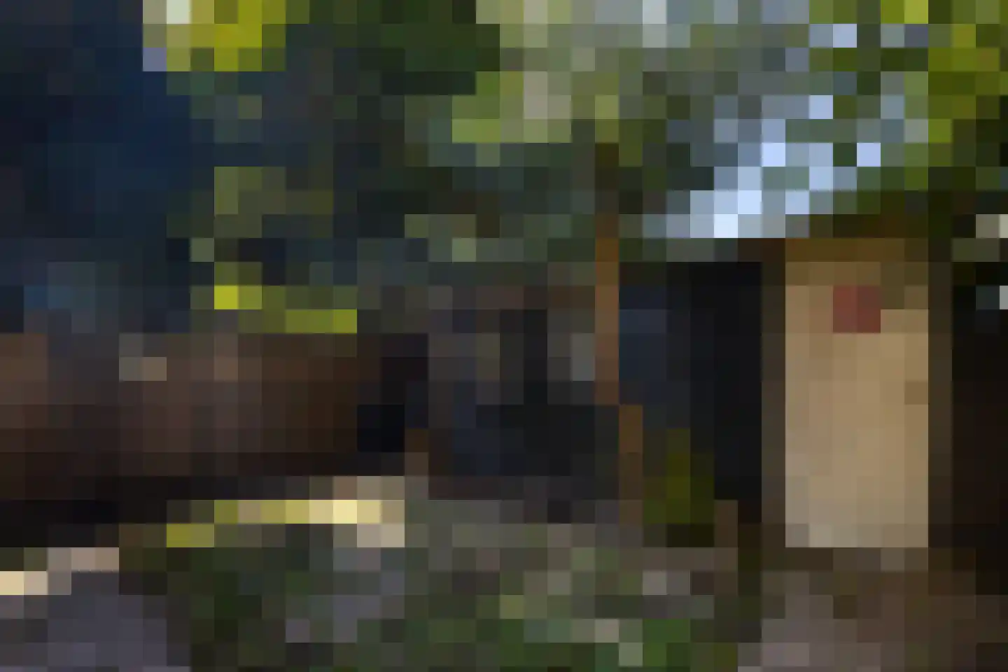 Vierambachtsstraat 1 Ter Aar thumbnail 15
