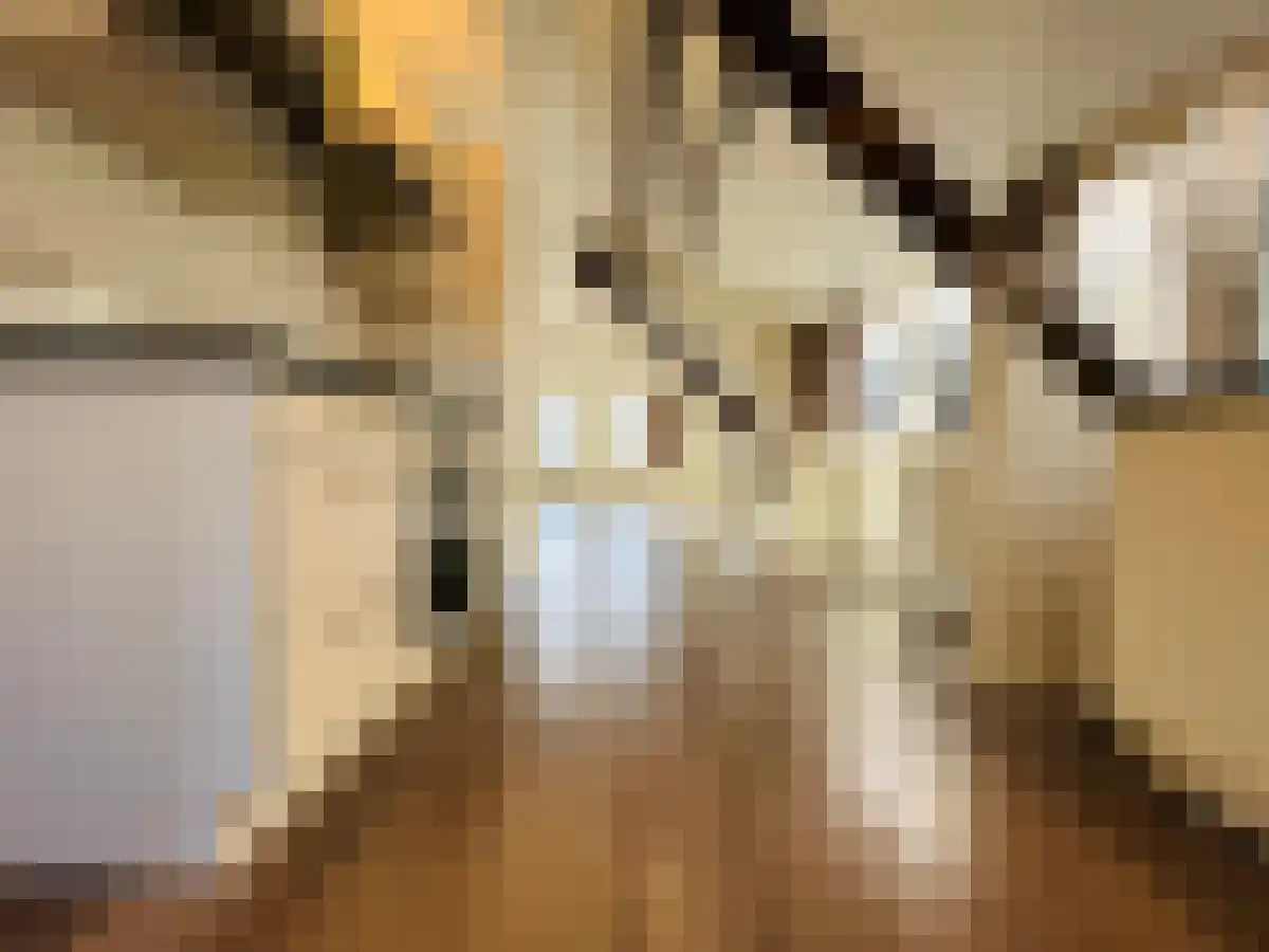 Vierambachtsstraat 112 B 03 Rotterdam thumbnail 4