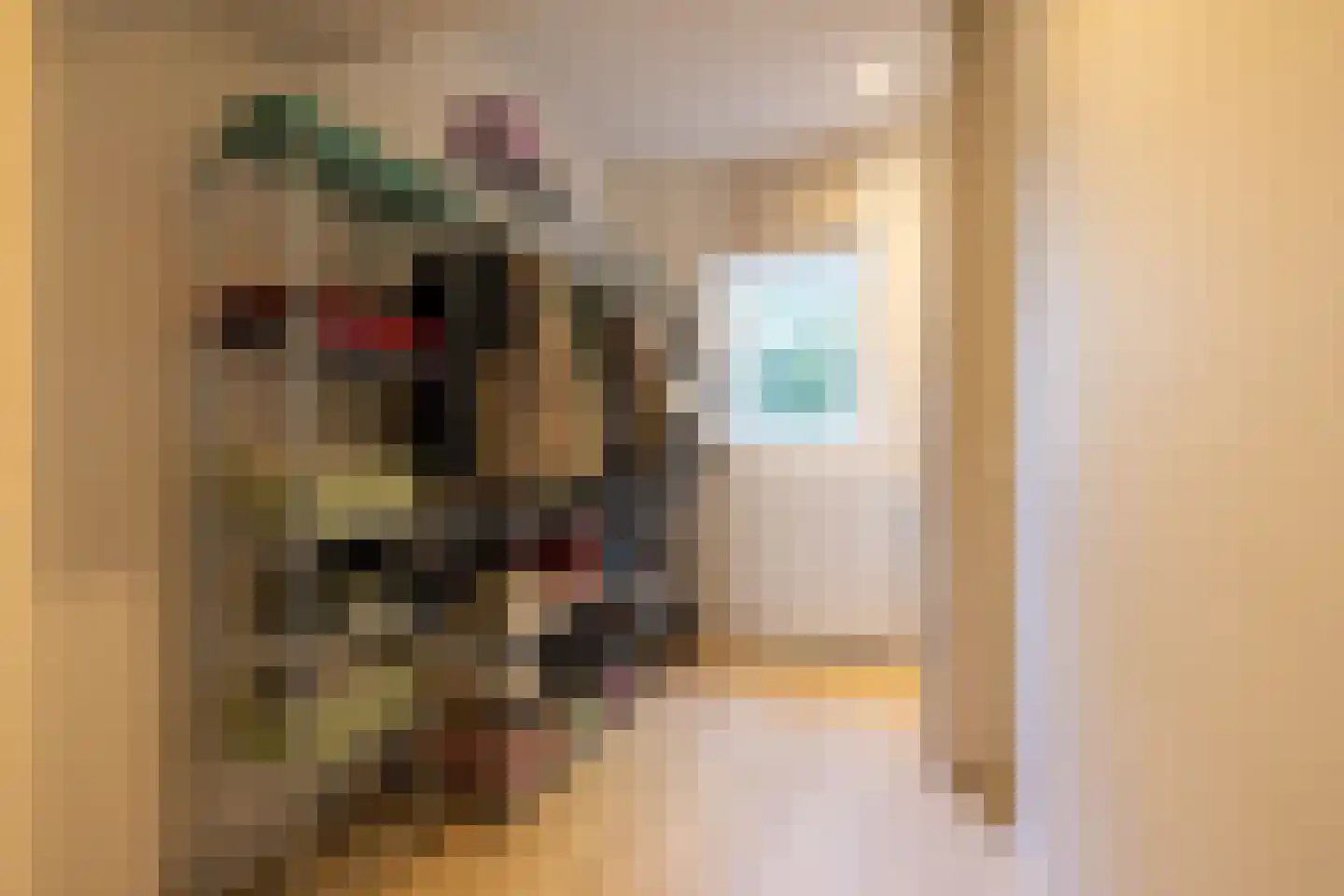 Vierambachtsstraat 149 B 02 Rotterdam thumbnail 18