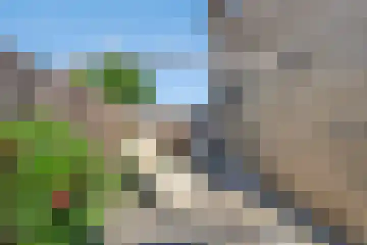 Vierambachtsstraat 5 Ter Aar thumbnail 16