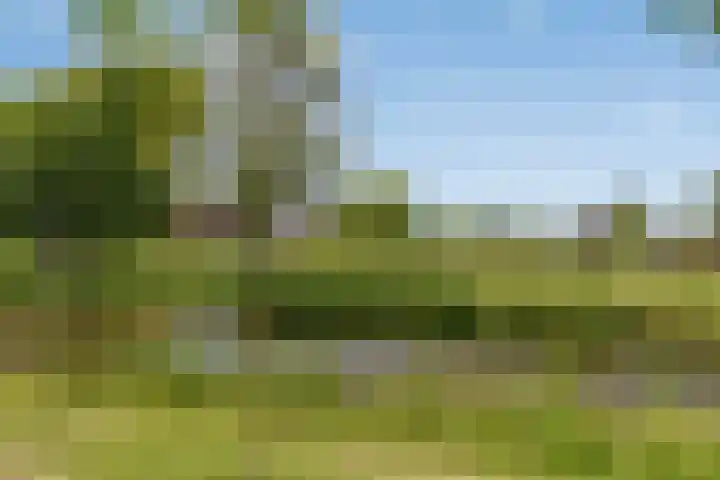 Vierambachtsstraat 5 Ter Aar thumbnail 18