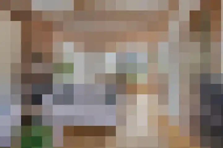 Vierambachtsstraat 5 Ter Aar thumbnail 4