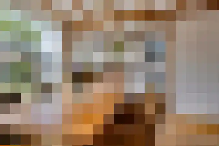Vierambachtsstraat 5 Ter Aar thumbnail 6