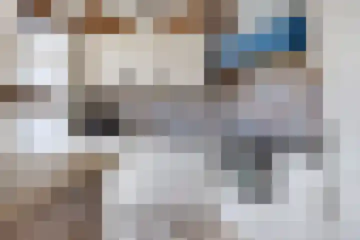 Vierambachtsstraat 5 Ter Aar thumbnail 7