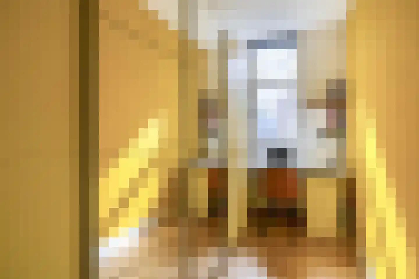 Vierambachtsstraat 58 A 01 Rotterdam thumbnail 6